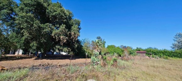 4 Schlafzimmer Villa in Latina, Italy, Nr. 308562 21