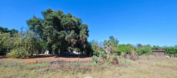 4 Schlafzimmer Villa in Latina, Italy, Nr. 308562 23