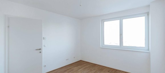 Studio in Liesing, Austria No. 190435 5