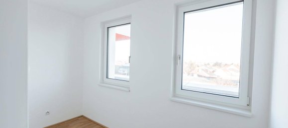 Studio in Liesing, Austria No. 190435 4