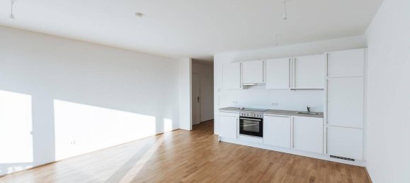 Studio in Liesing, Austria No. 190435 2