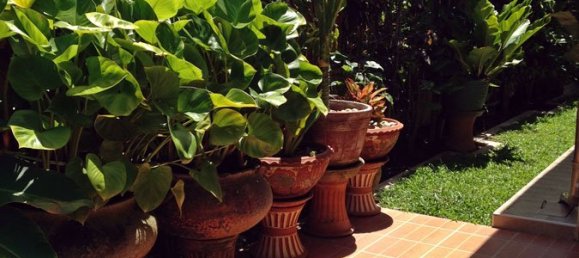 4 bedrooms Cafe / restaurant in Pattaya, Thailand No. 1669 22