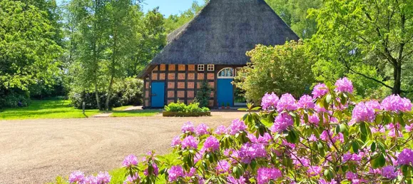 Дом с 10 комнатами в Остерхольц, Германия № 267548 2