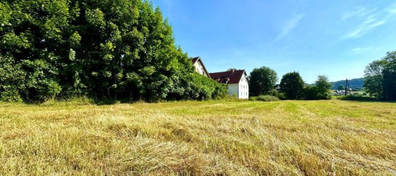  Land in Kirchbach-Zerlach, Austria No. 151483 2