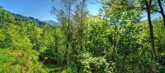 5 bedrooms Villa in Alvito, Italy No. 67249 19