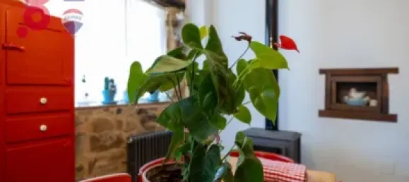 4 bedrooms House in Leon, Spain No. 153896 23