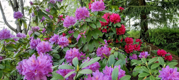 Casa de 6 habitaciónes en Vogtlandkreis, Germany No. 313777 6