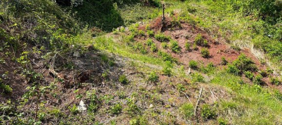 Terrain à Boblingen, Germany No. 232247 7