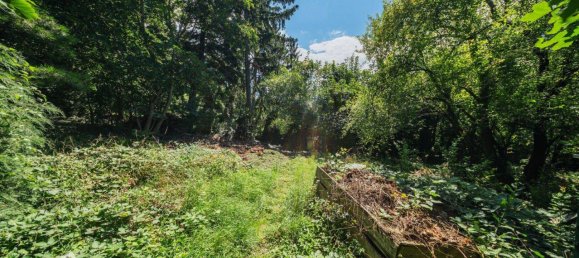 10 rooms Villa in Hinterbruhl, Austria No. 208201 10