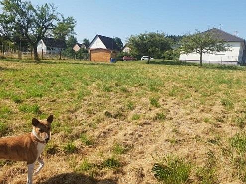 Земельный участок в Эндленжан, Франция № 86910