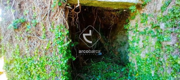 Дом с 3 спальнями в Понти да Барка, Португалия № 168592 2