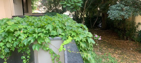 4 bedrooms Apartment in Riccione, Italy No. 372380 11