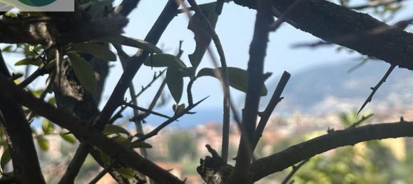 Villa de 8 divisões em Cervo, Italy N.º 172942 5