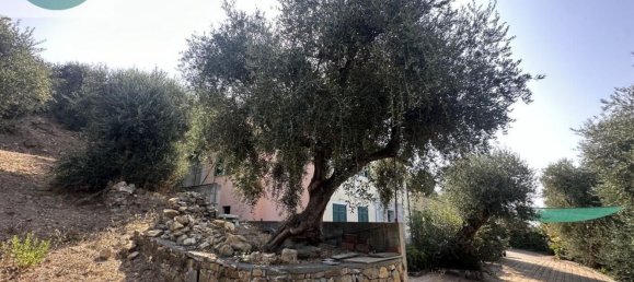 Villa de 8 divisões em Cervo, Italy N.º 172942 10