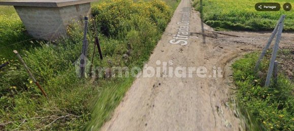 1 room Warehouse in Noicattaro, Italy No. 77787 6