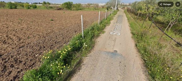 1 room Warehouse in Noicattaro, Italy No. 77787 7