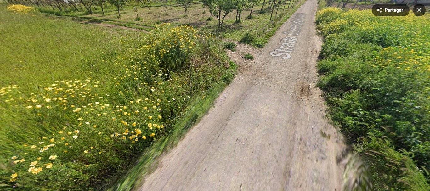 1 room Warehouse in Noicattaro, Italy No. 77787