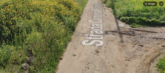 1 room Warehouse in Noicattaro, Italy No. 77787 5