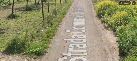 1 room Warehouse in Noicattaro, Italy No. 77787 3