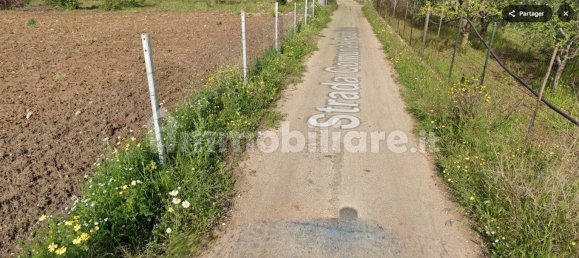 1 room Warehouse in Noicattaro, Italy No. 77787 8