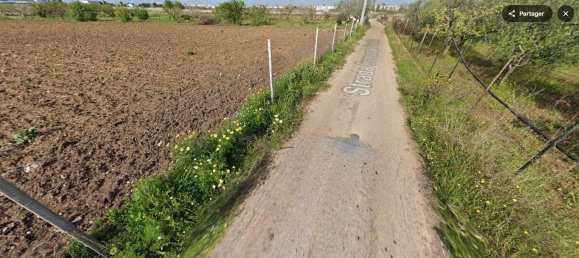 1 room Warehouse in Noicattaro, Italy No. 77787 10