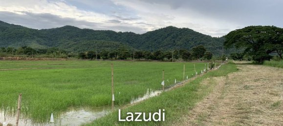  Commercial property in Chiang Rai, Thailand No. 21780 9