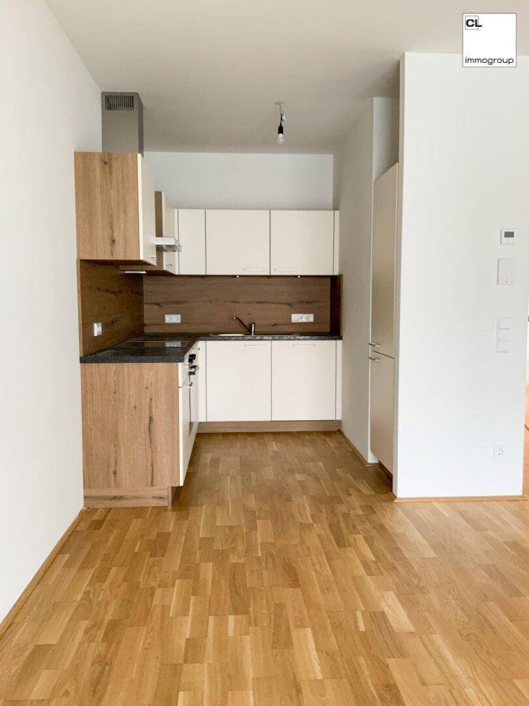 2 rooms Apartment in Feldkirchen bei Mattighofen, Austria No. 203297