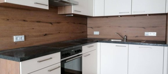 2 rooms Apartment in Feldkirchen bei Mattighofen, Austria No. 203297 5