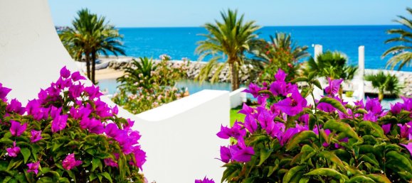 1 bedroom Apartment in Mogan, Spain No. 165018 27