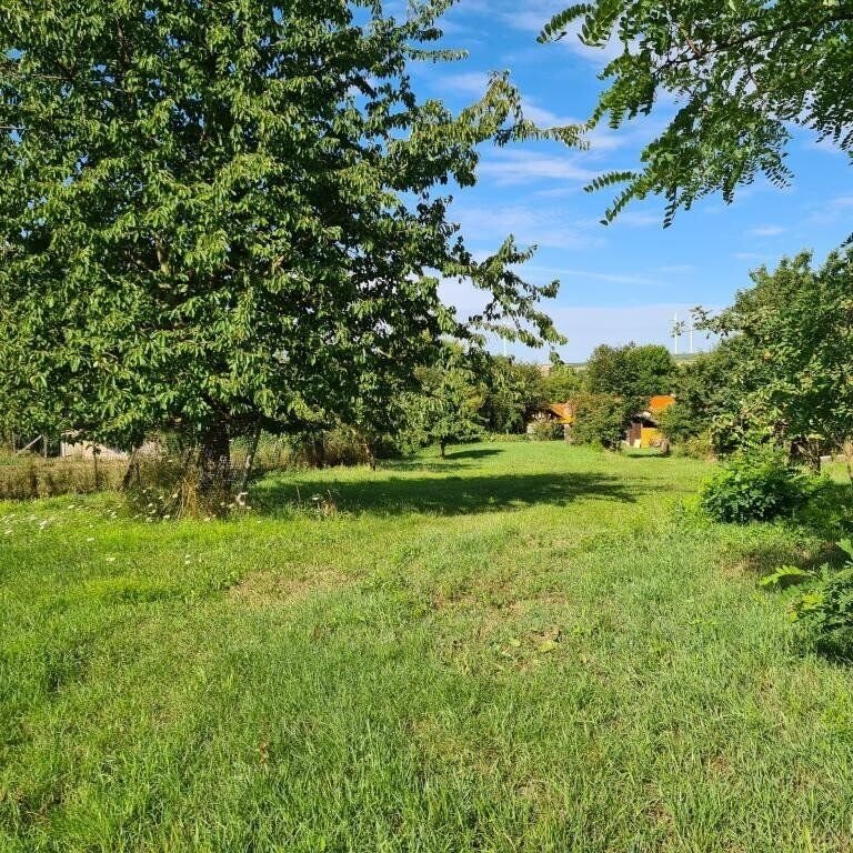 Дом с 6 комнатами в Пойсдорф, Австрия № 52160