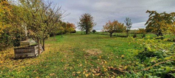 Дом с 6 комнатами в Пойсдорф, Австрия № 52160 14