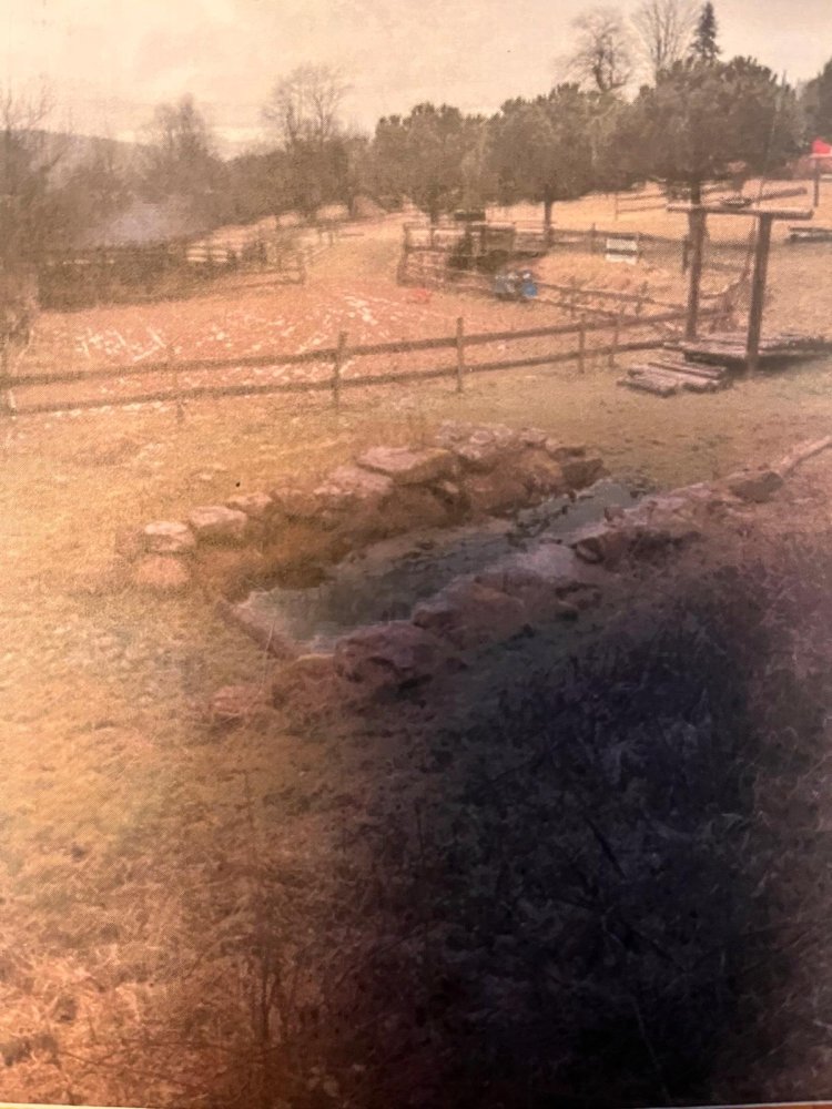  Land in Kusel, Germany No. 335006