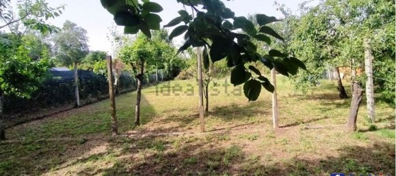 Villa de 5 habitaciónes en Carrara, Italy No. 48148 13