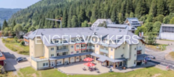 1 chambre Appartement à Breisgau-Hochschwarzwald, Germany No. 271524 8