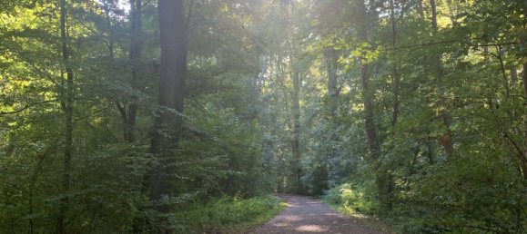 Apartamento de 2 divisões em Lower Saxony, Germany N.º 366889 22