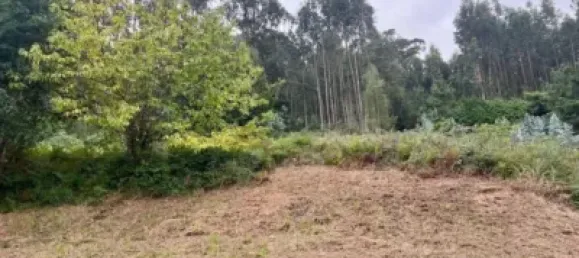 Grundstück in Bergondo, Spain 2785m², Nr. 155622 2