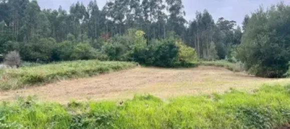 Grundstück in Bergondo, Spain 2785m², Nr. 155622 10