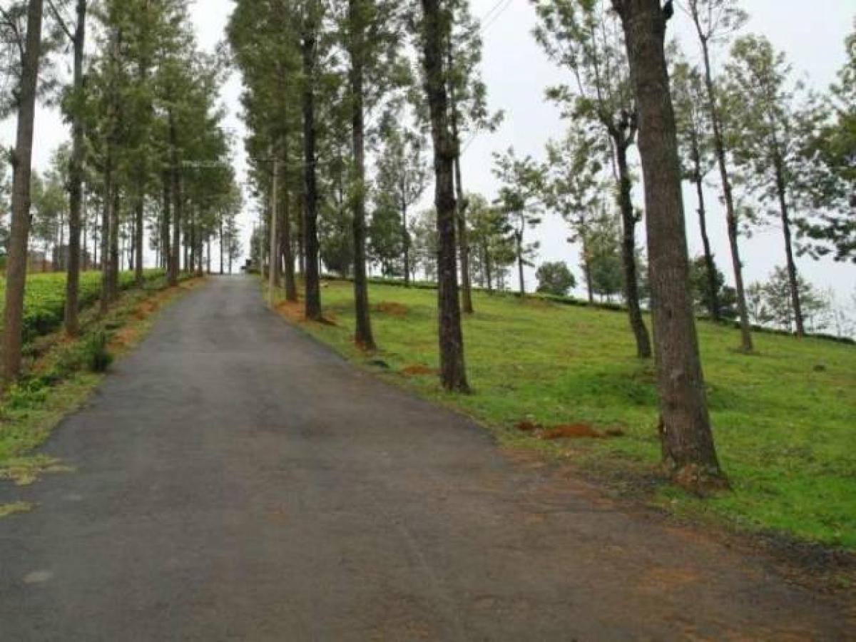 Terreno em Tamil Nadu, India N.º 38617