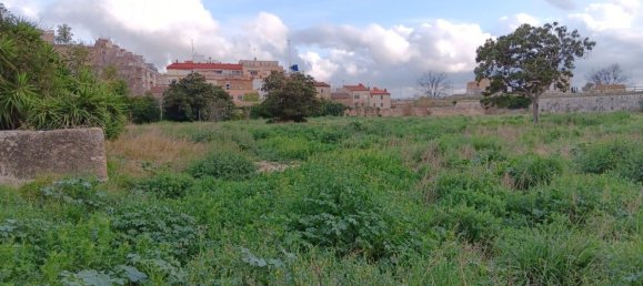 Земельный участок 4205м² в Тортоса, Испания № 293213 13