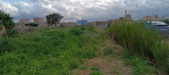 Земельный участок 4205м² в Тортоса, Испания № 293213 12