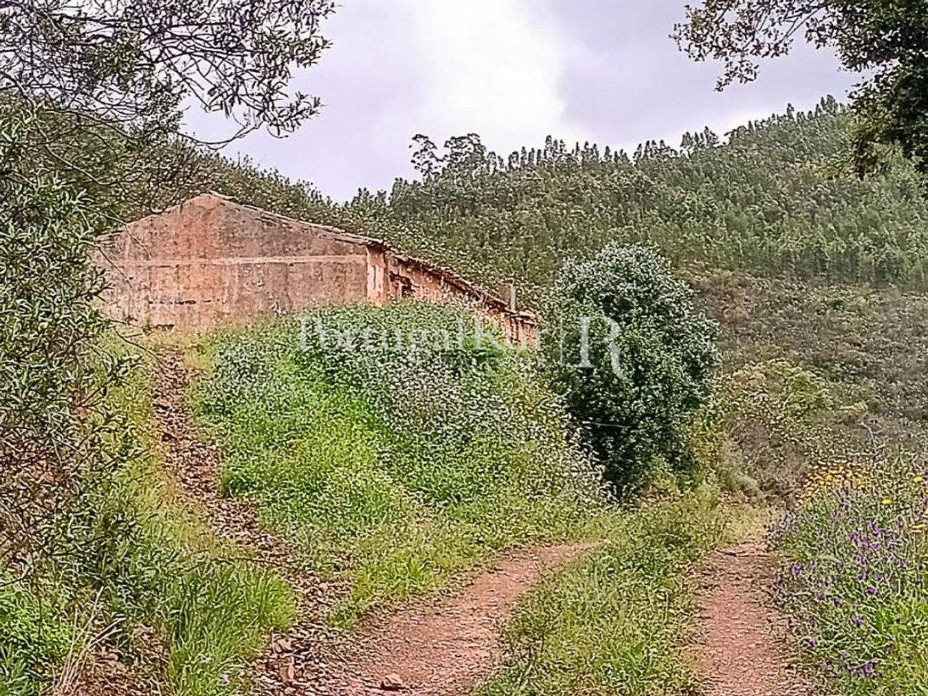 3 bedrooms House in Sao Teotonio, Portugal No. 280320