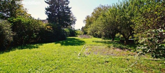 8-salle Maison à Klosterneuburg, Austria No. 122502 29