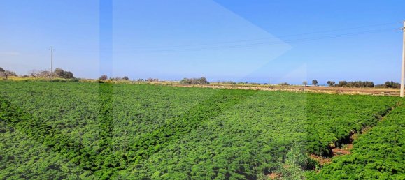 16000m² Land in Polignano a Mare, Italy No. 21699 25