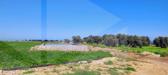 16000m² Land in Polignano a Mare, Italy No. 21699 15