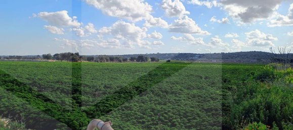 16000m² Land in Polignano a Mare, Italy No. 21699 39