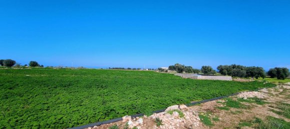 16000m² Land in Polignano a Mare, Italy No. 21699 8