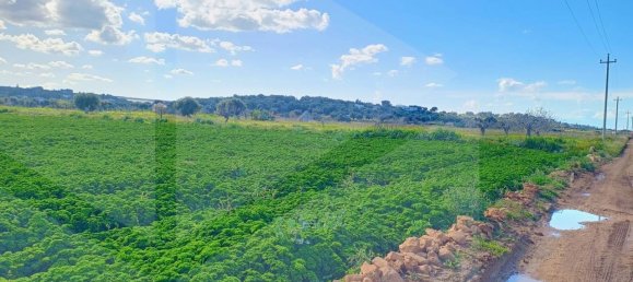 16000m² Land in Polignano a Mare, Italy No. 21699 37
