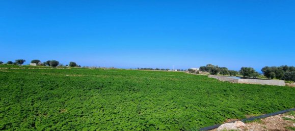 16000m² Land in Polignano a Mare, Italy No. 21699 5