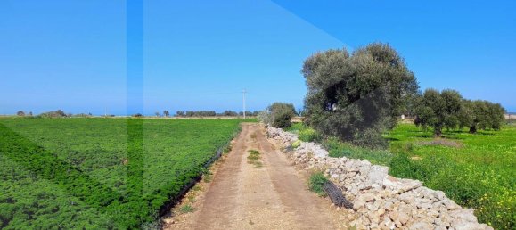 16000m² Land in Polignano a Mare, Italy No. 21699 21