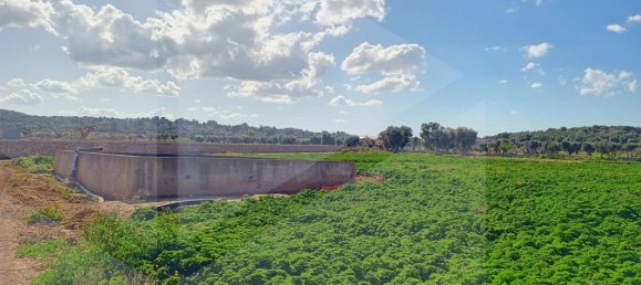 16000m² Land in Polignano a Mare, Italy No. 21699 16